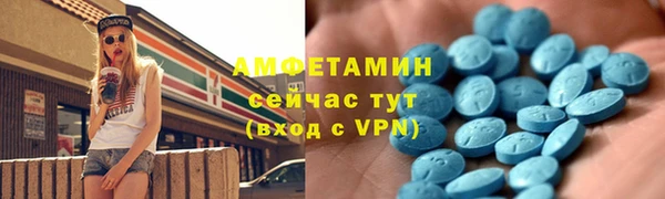 гидра Карпинск