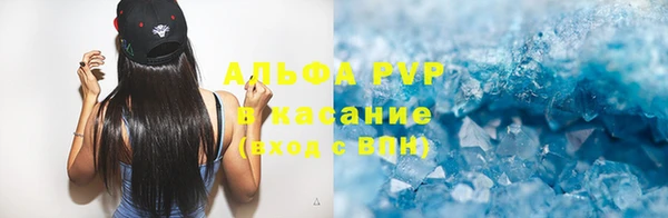 гидра Карпинск