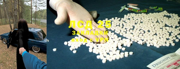 гидра Карпинск