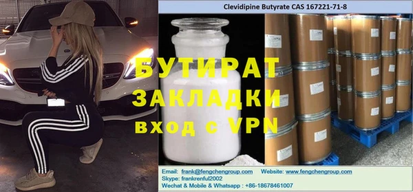 гидра Карпинск
