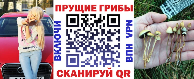 Псилоцибиновые грибы Psilocybine cubensis  Котельнич 